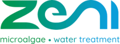 logo-zeni-e1747042078782.png